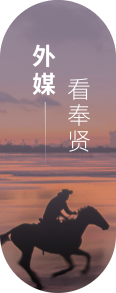 外媒看奉賢